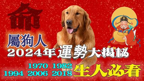 1970屬狗十年運勢|1970属狗在2025以后十年大运，70年属狗人未来十年大运